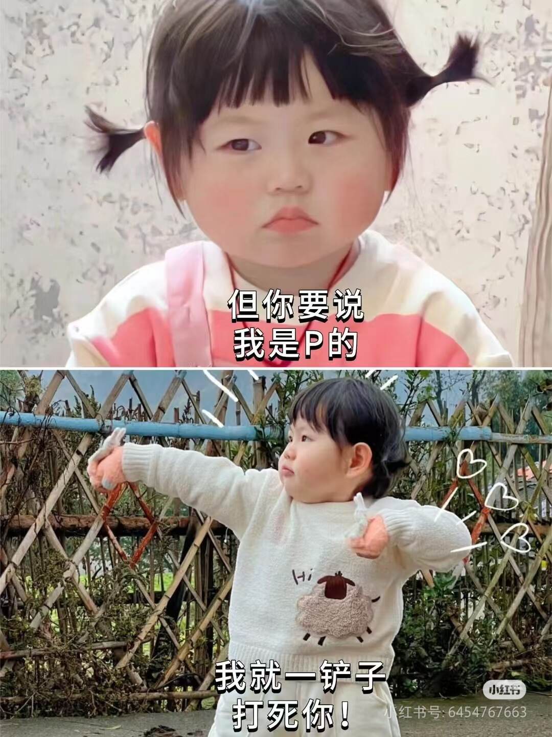 (｡･ω･｡)ﾉ♡-校园频道