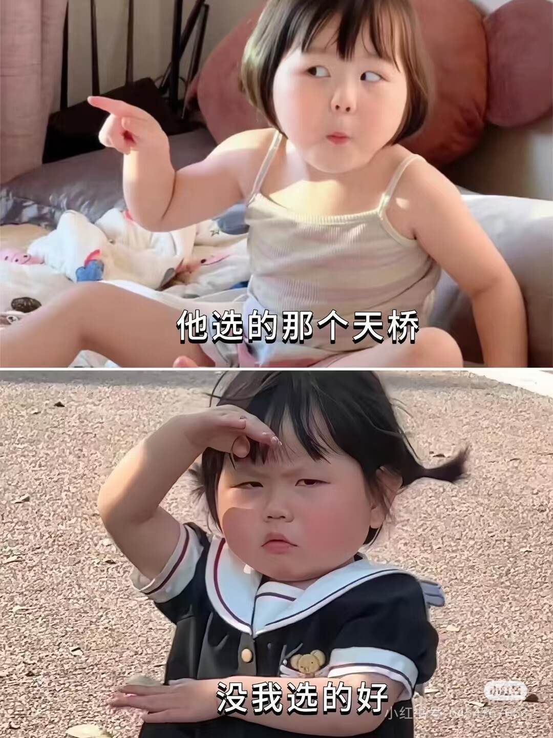 ฅ˙Ⱉ˙ฅ-校园频道