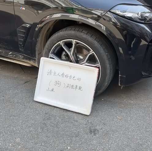 为什么要给狗打括号-校园频道