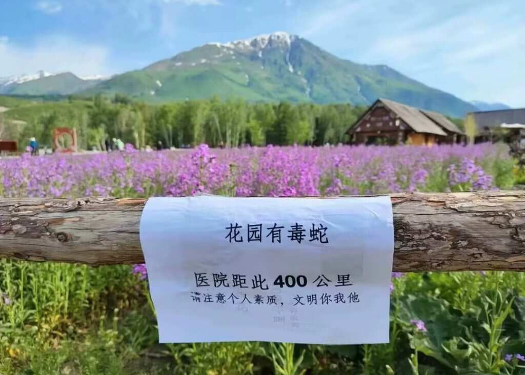 有点直接了-暑假时光论坛-校园-校园频道