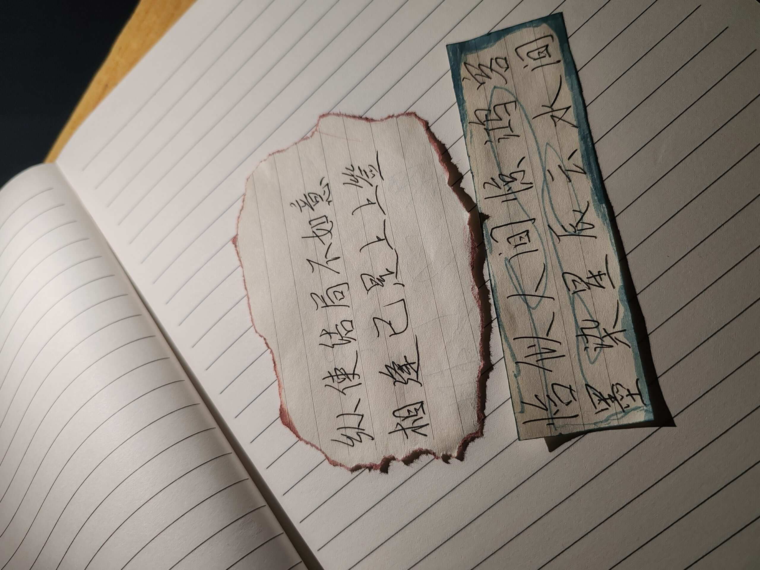 ˃ 𖥦 ˂-校园频道