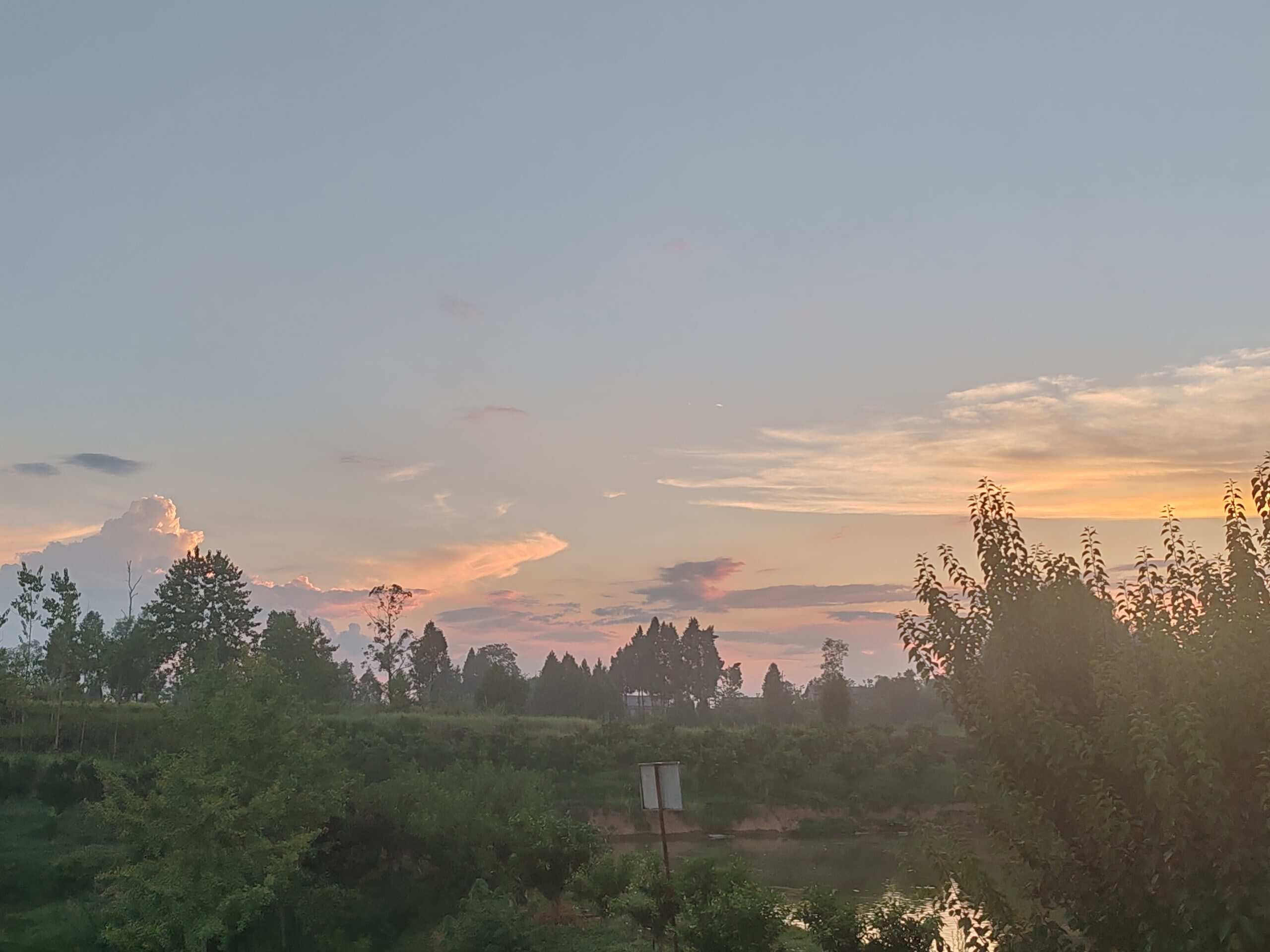 ˋˏᰔᩚˎˊ˗-校园频道