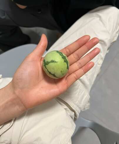这个西瓜有点👍-校园频道