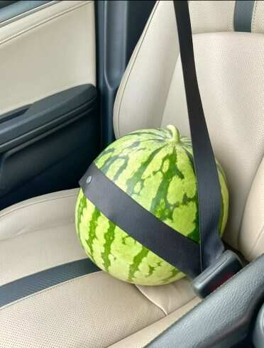 懂事西瓜-校园频道