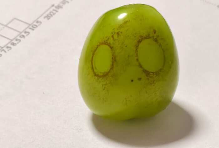 有点像僵尸-校园频道