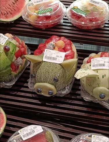 水果猪-校园频道