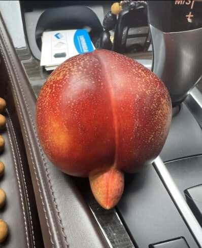变异的🍑-校园频道