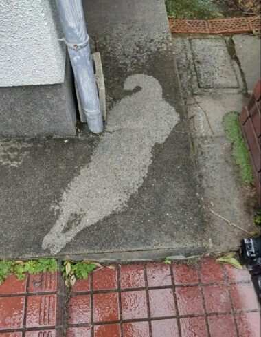 被遇害了-校园频道