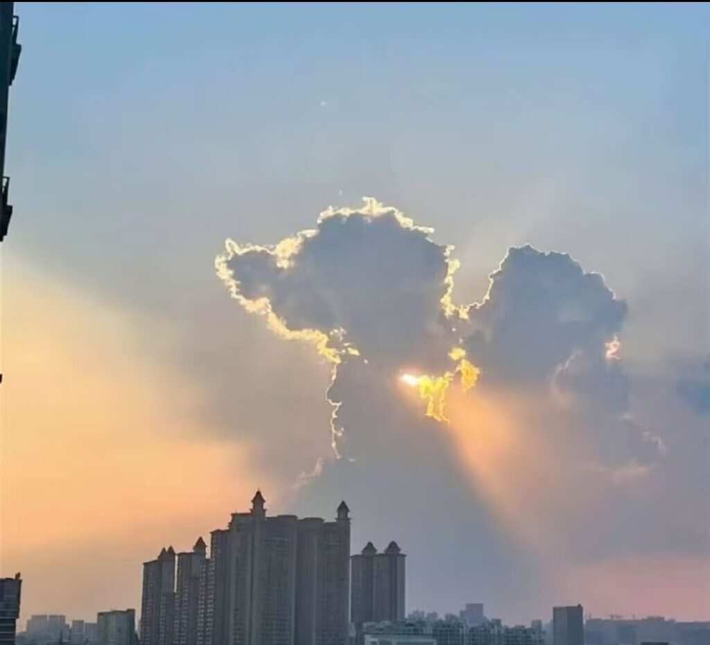 怎么看啥都像人-暑假时光论坛-校园-校园频道