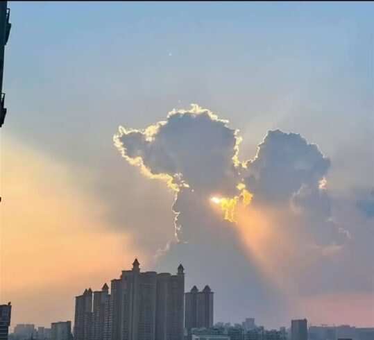 怎么看啥都像人-校园频道