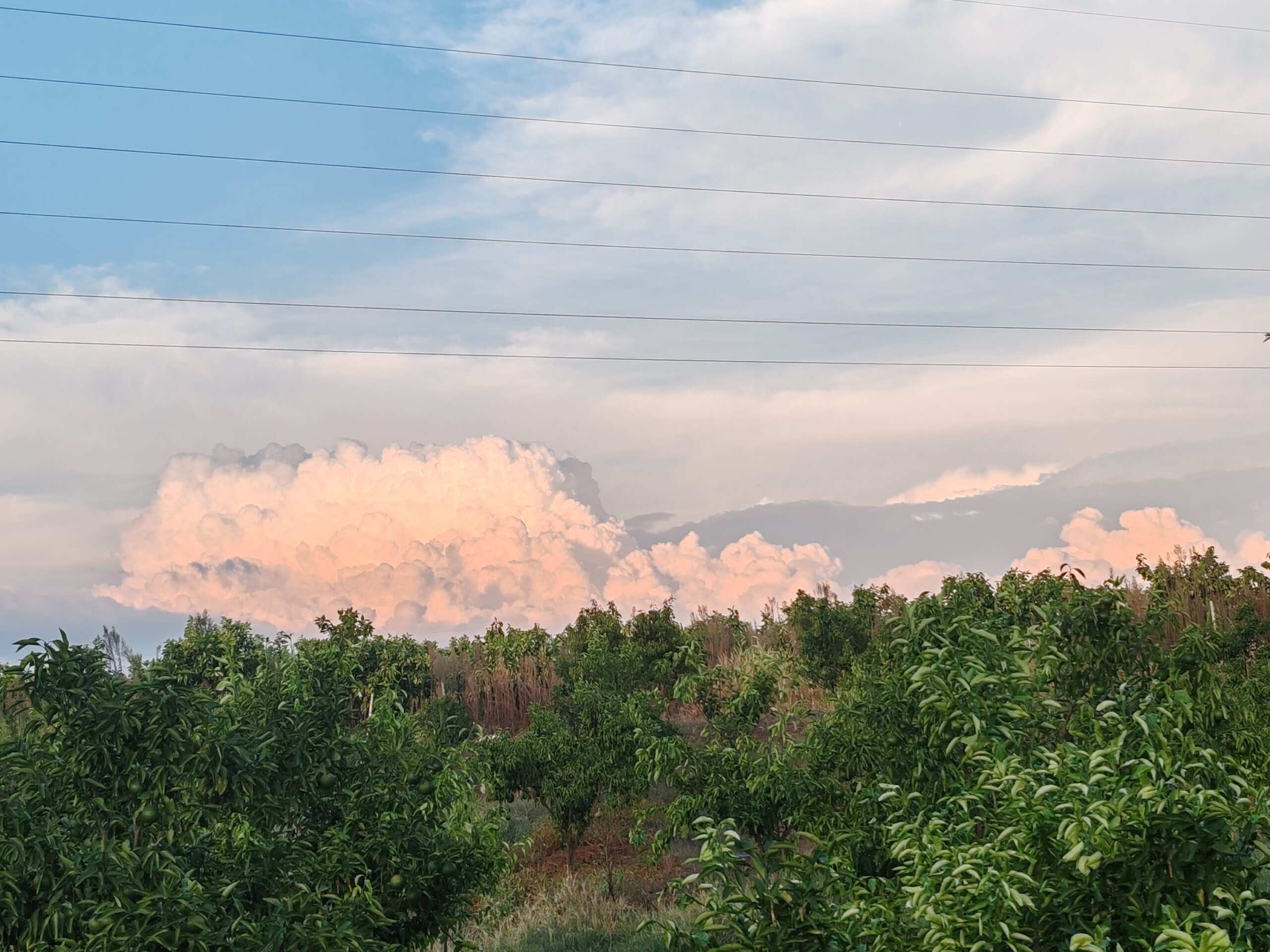 好大的云-校园频道