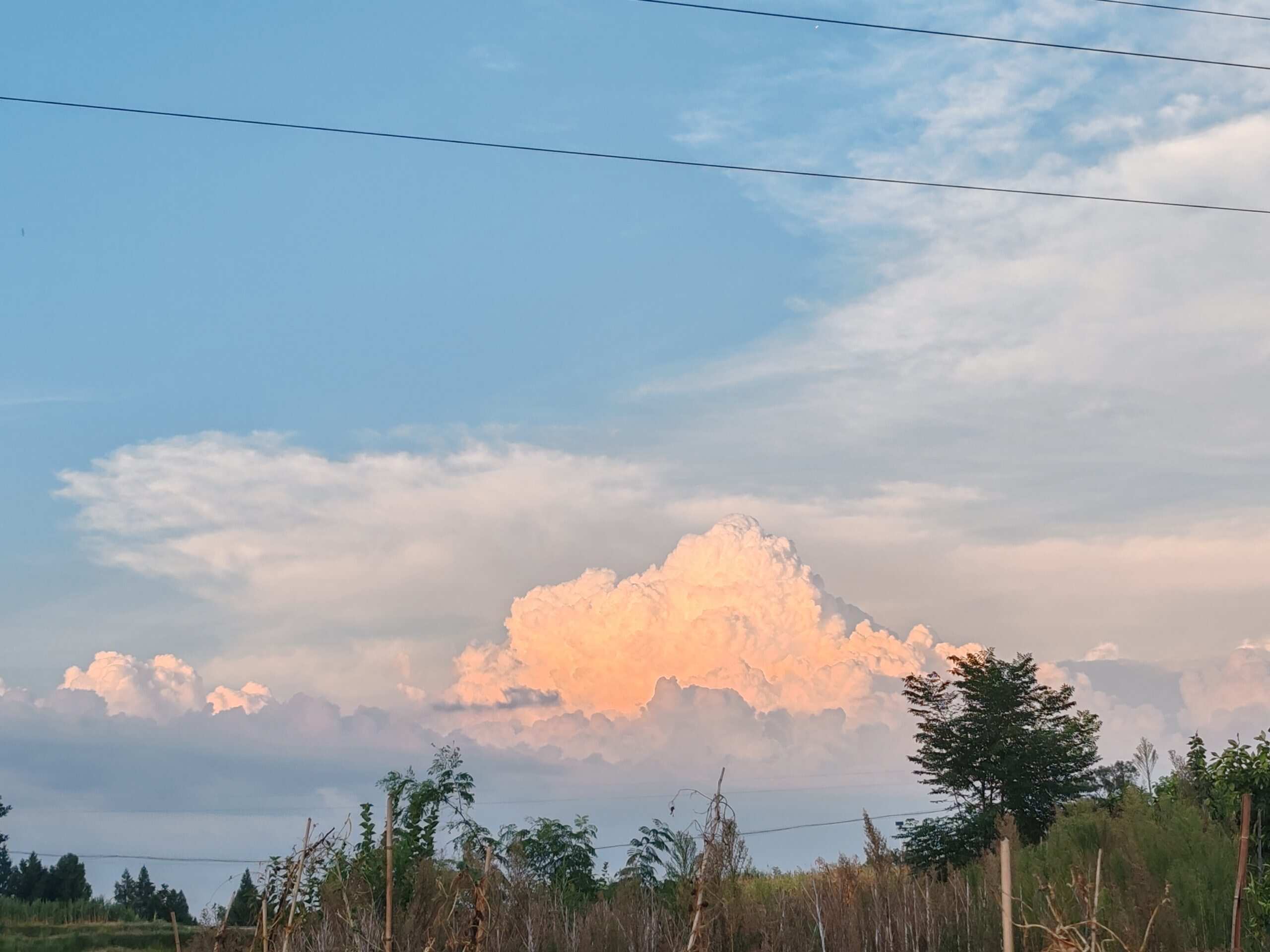 好梦幻-校园频道