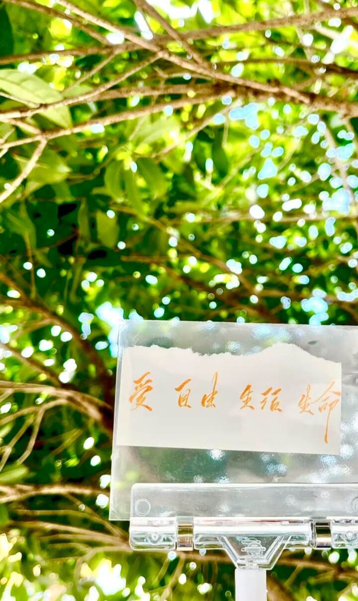 爱 自由 生活 生命-校园频道