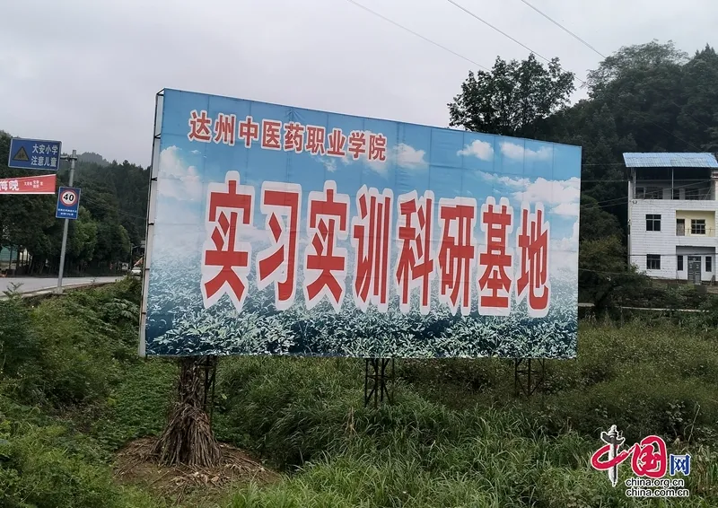 哟吼 看我发现了什么-校园频道