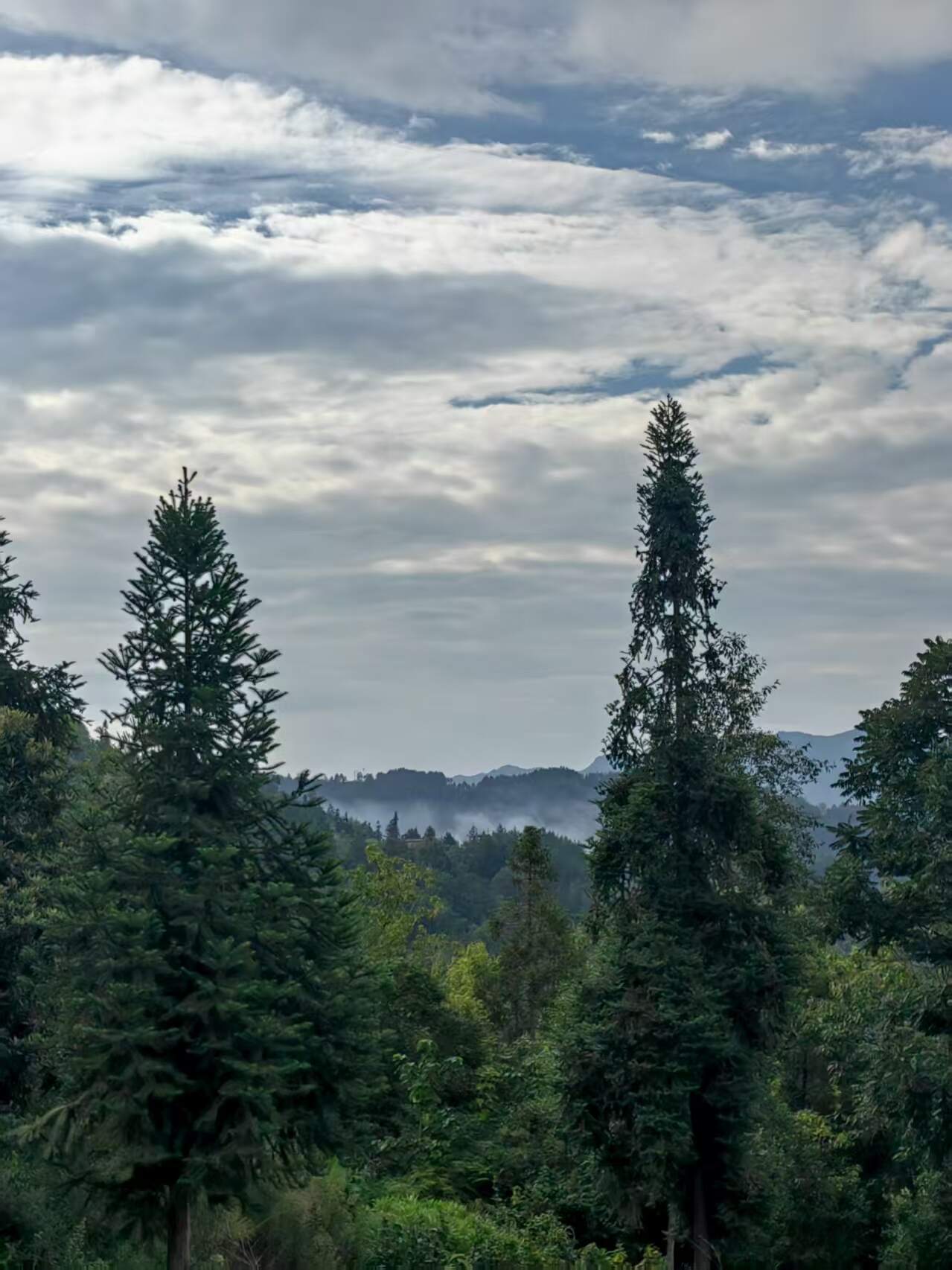 山中还是很好看的-校园频道