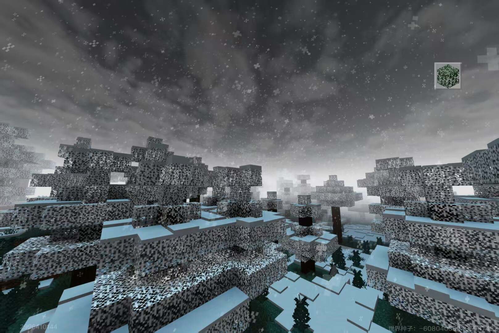 绝美光影-校园频道