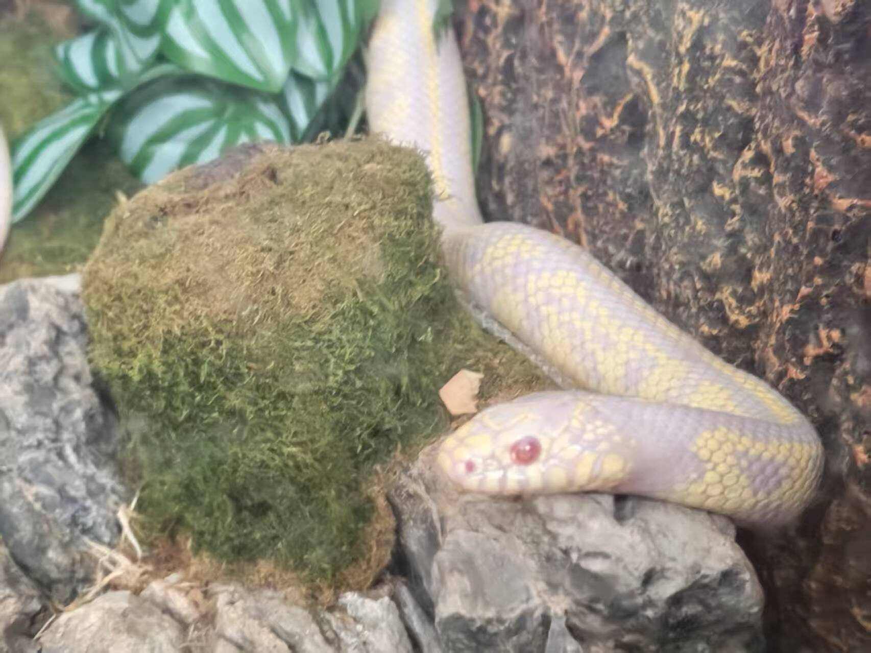 看见我感动吗？-校园频道