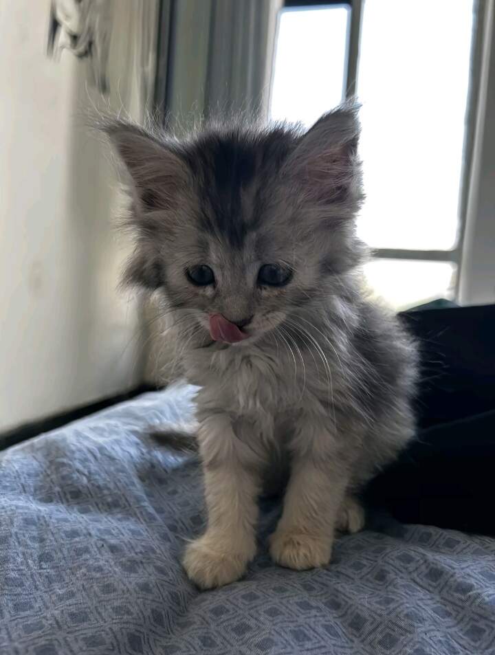 看不懂 猜不透-校园频道